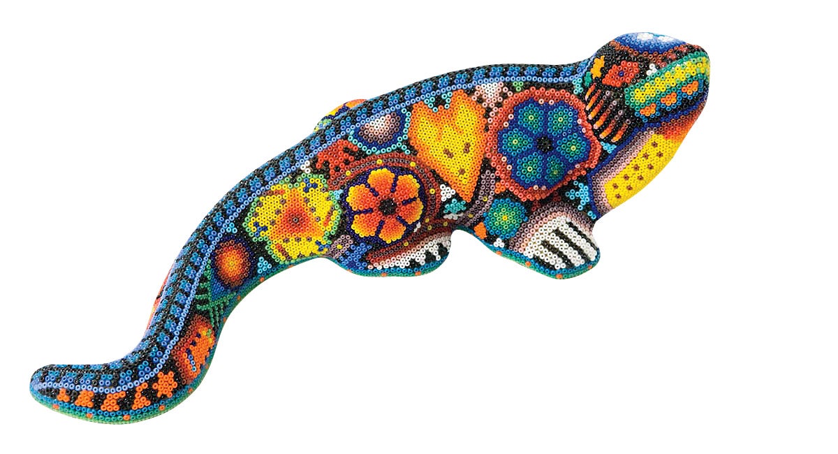 rainbow lizard
