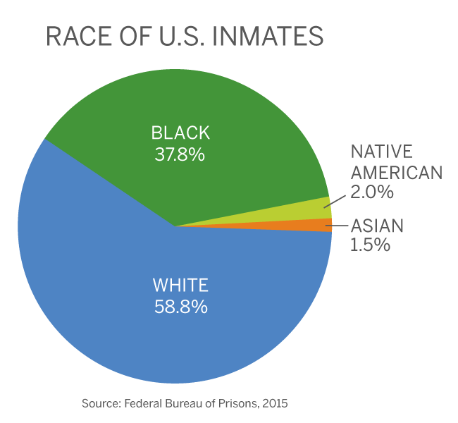 Pie chart showing 58.8% white, 37.8% black, 2% native american and 1.5% asian