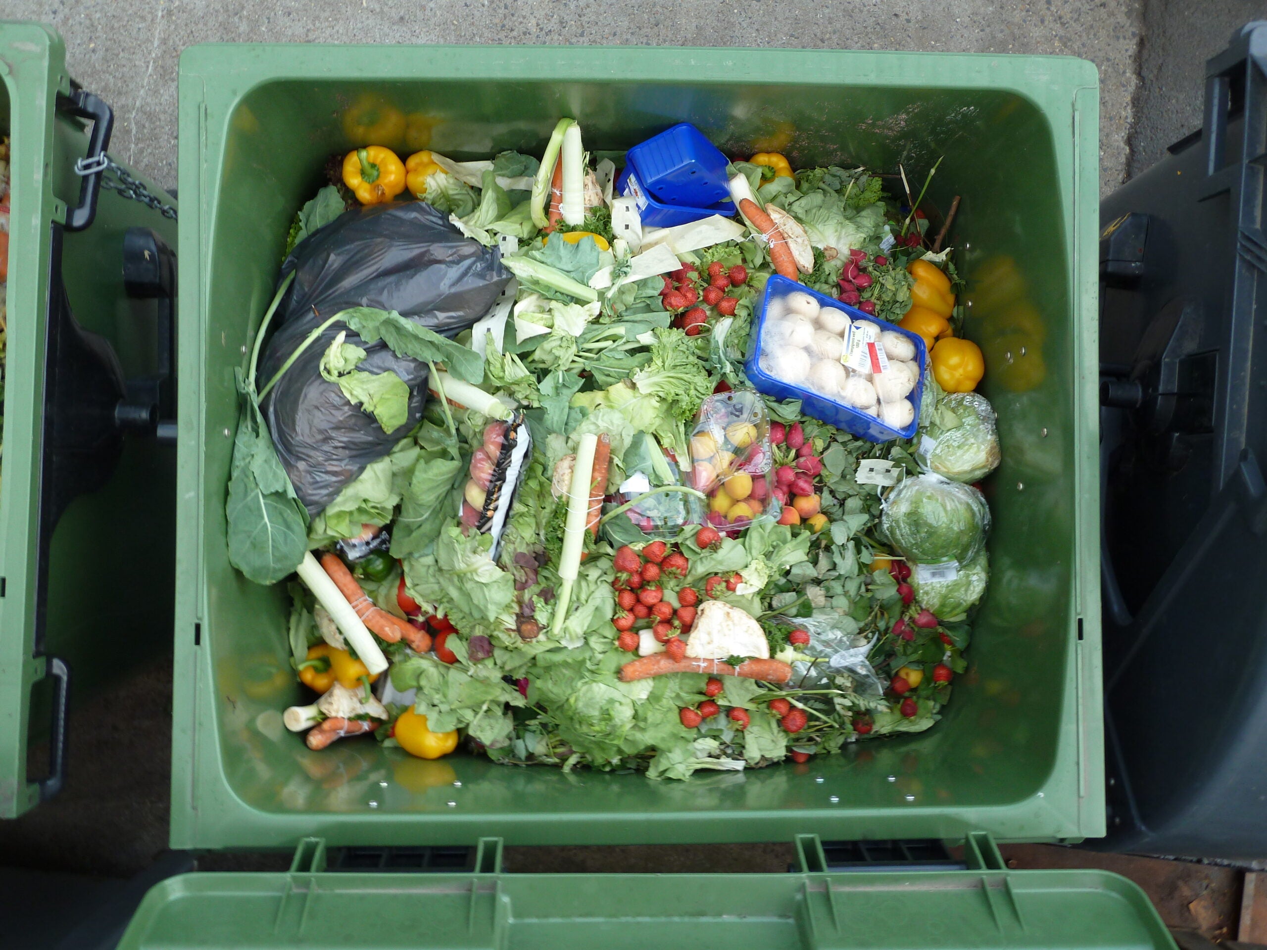 Featured image for Illinois Takes a Bite Out of Food Waste: A New Law Sets a Precedent article