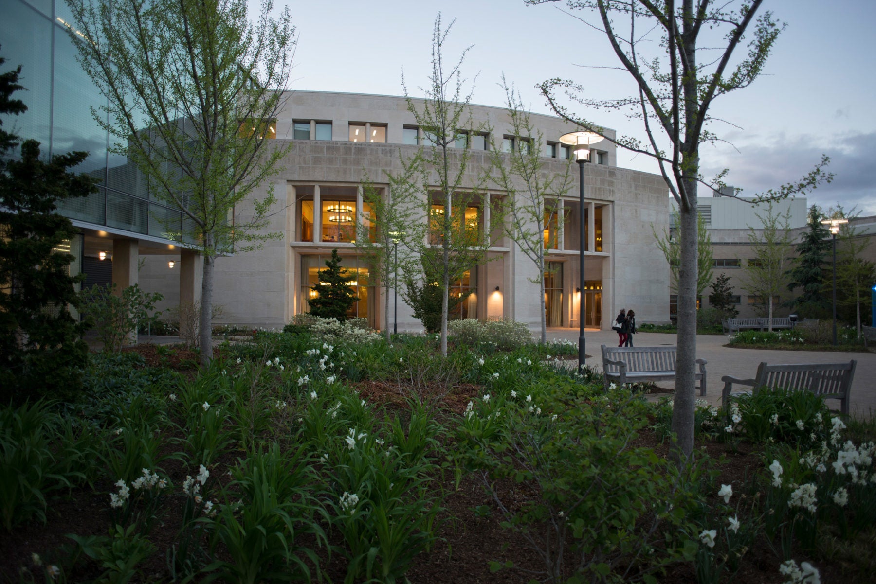 White Flowers in front of Wasserstein Hall