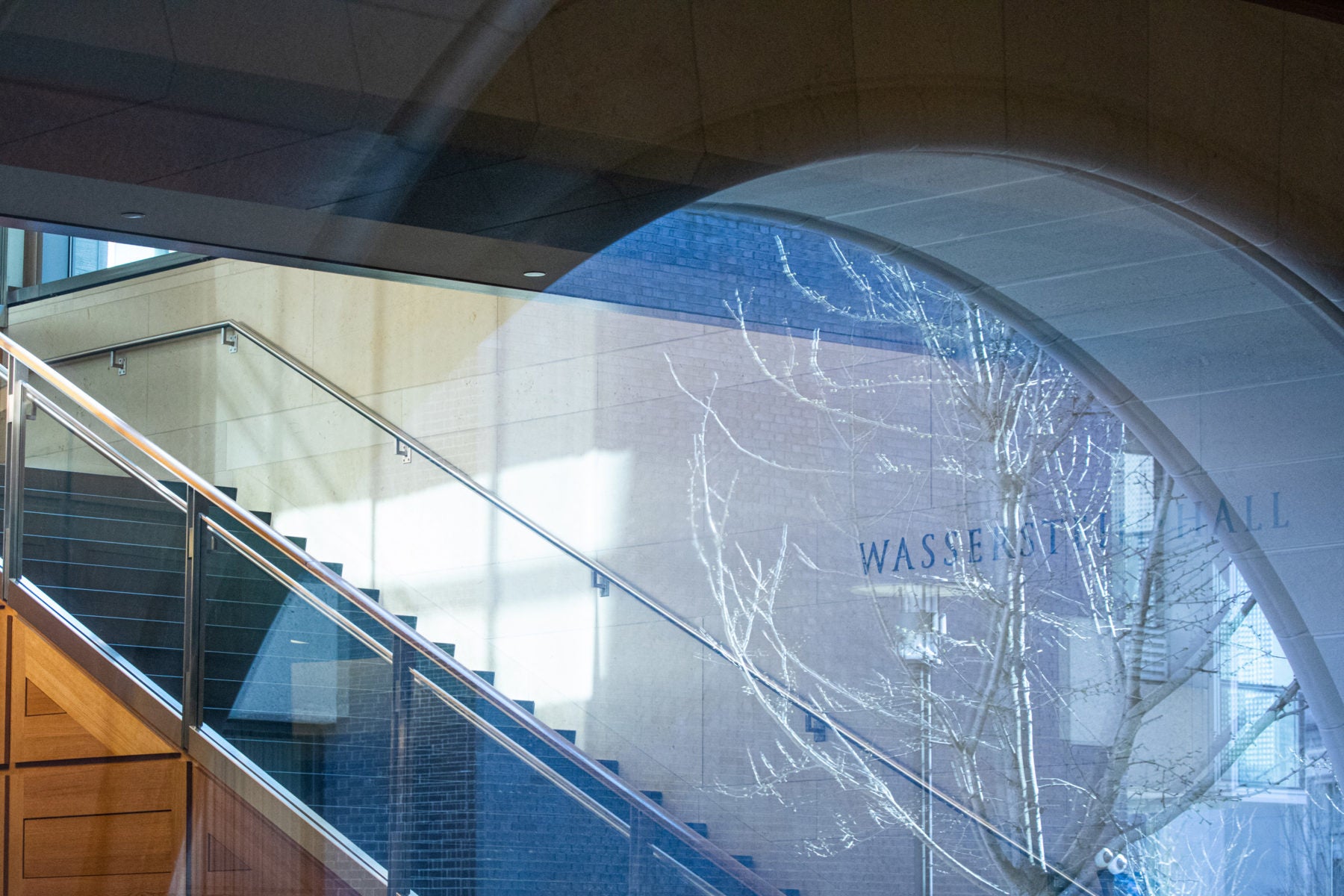 Tree in the reflection of Wasserstein Hall