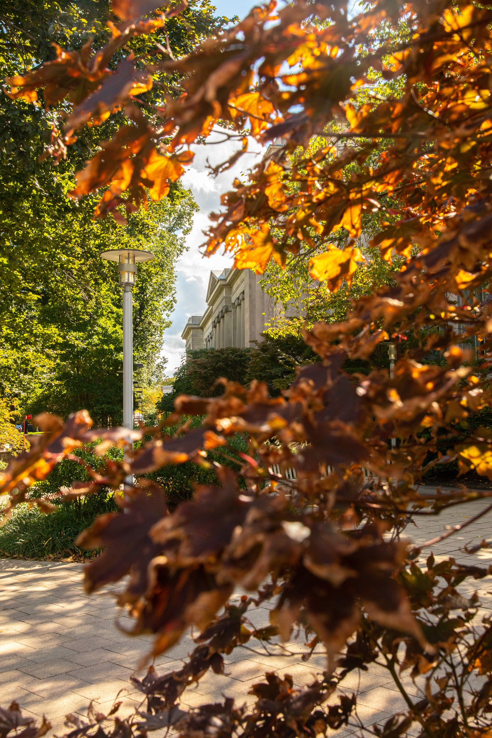 Langdell Hall on sunny fall day