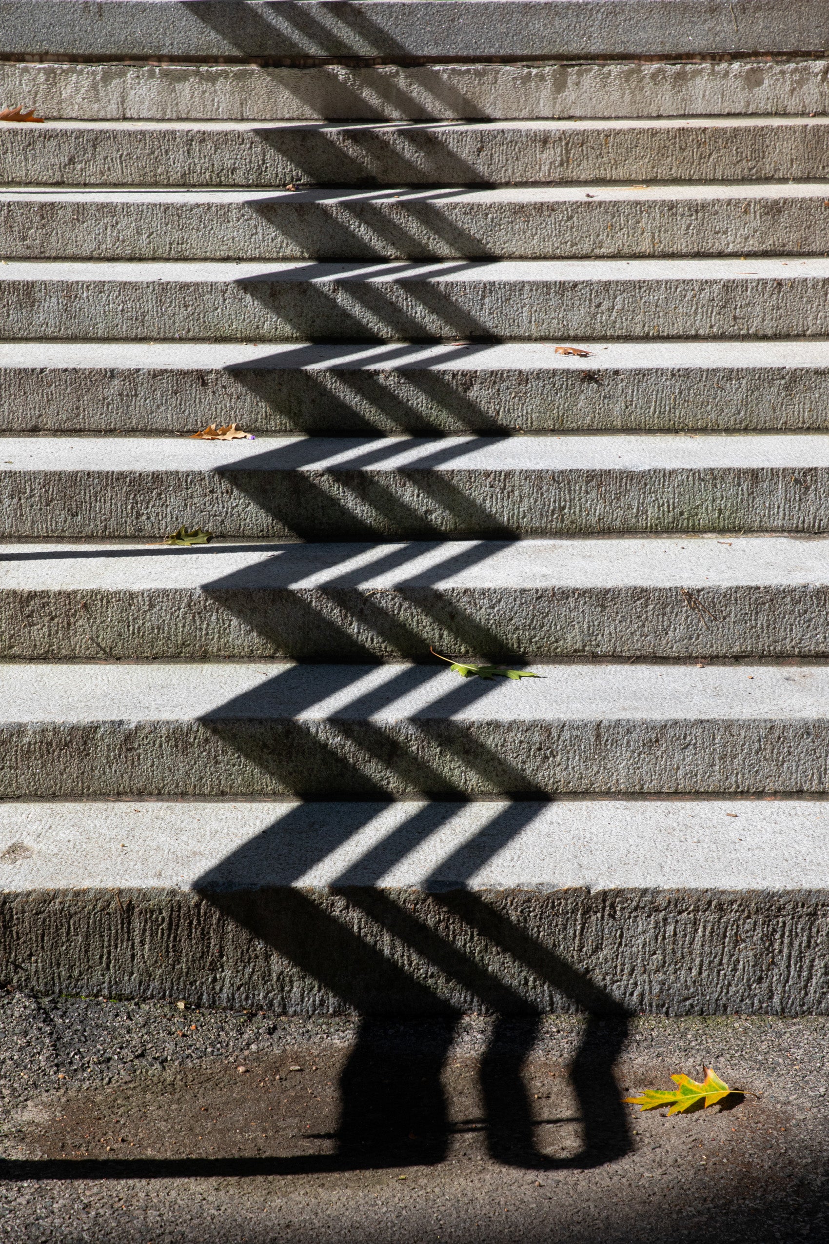 Zigzag shadow on the steps of Langdell