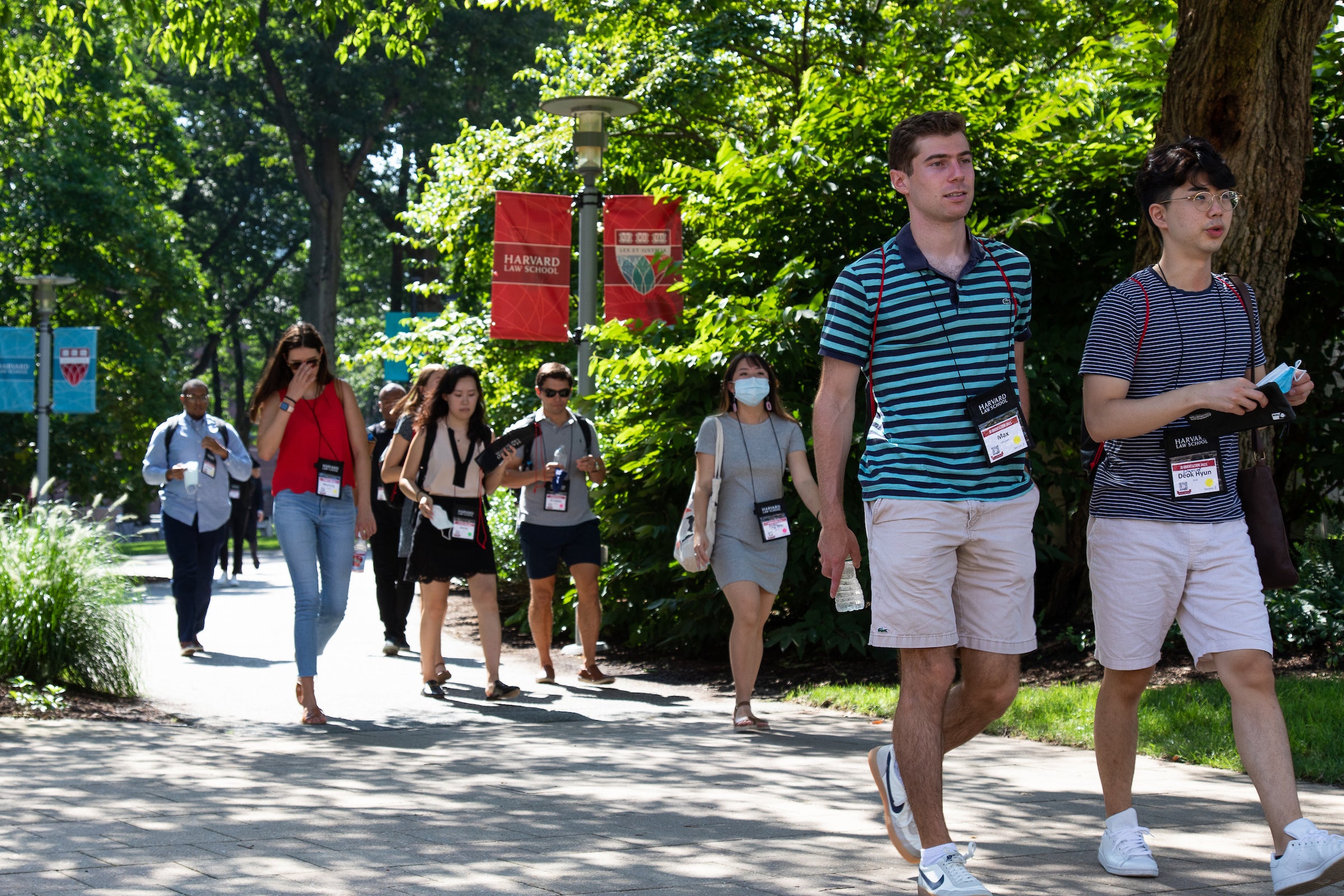 Group of students walking outside along a banner-lined path at Harvard Law School