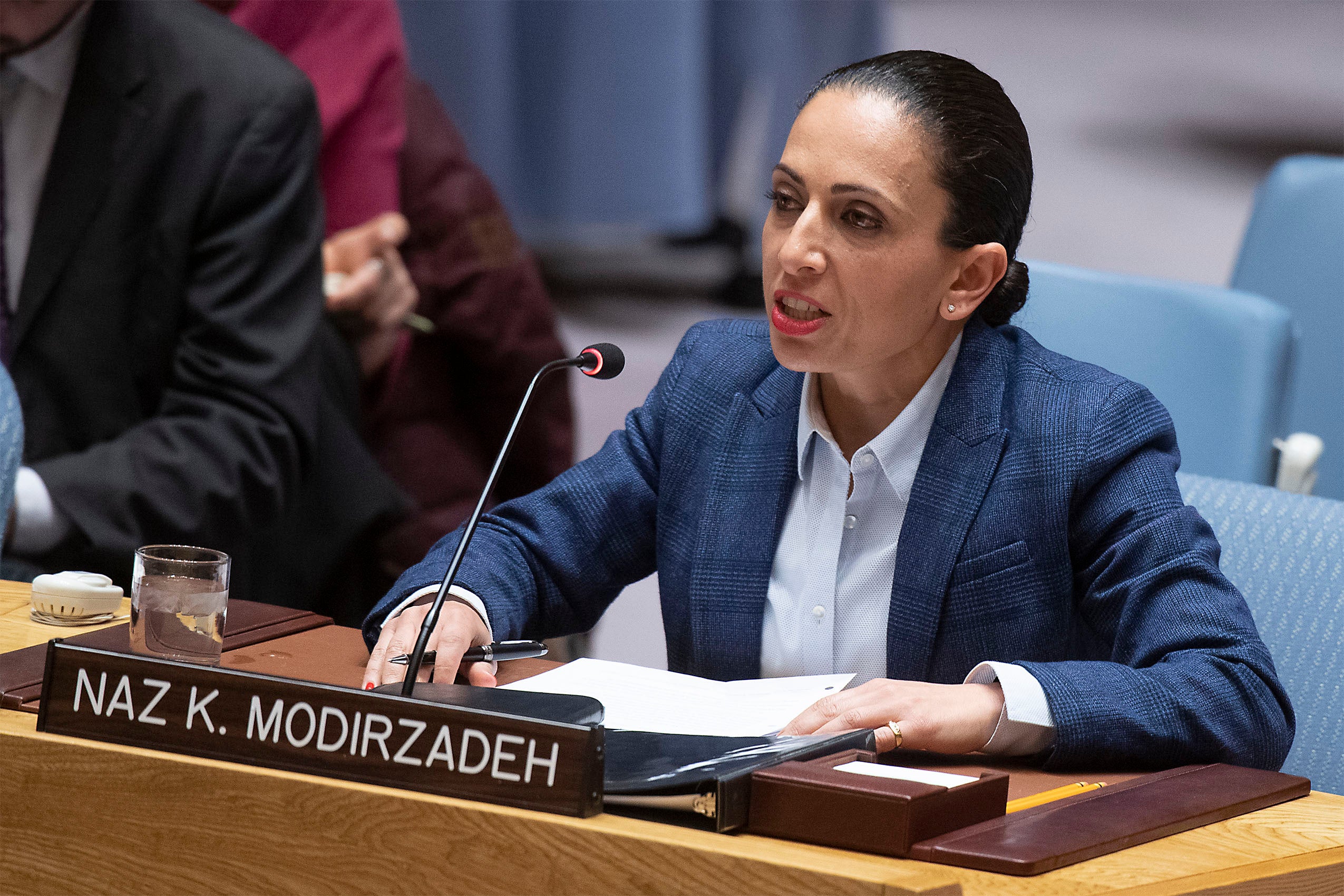 Modirzadeh urges UN Security Council to implement protections for humanitarian action