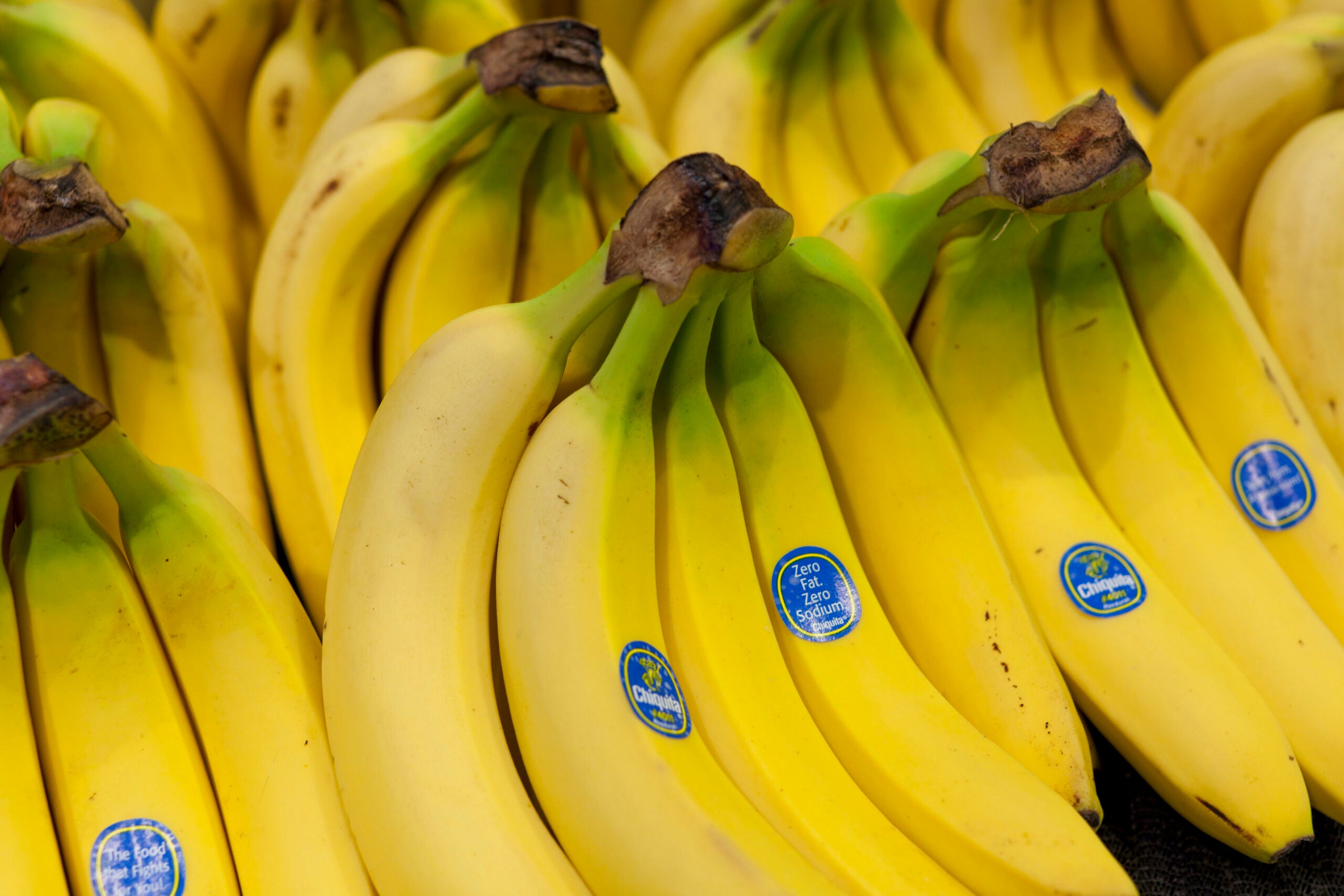 Chiquita bananas on display in grocery store