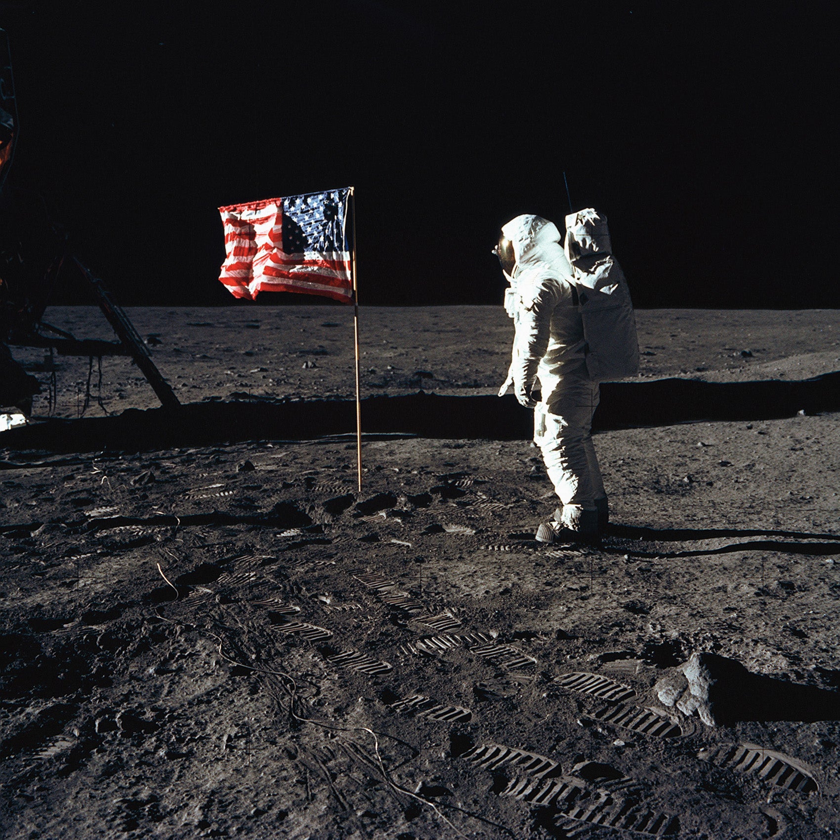 Astronaut Buzz Aldrin posed on the moon besides the U.S. flag