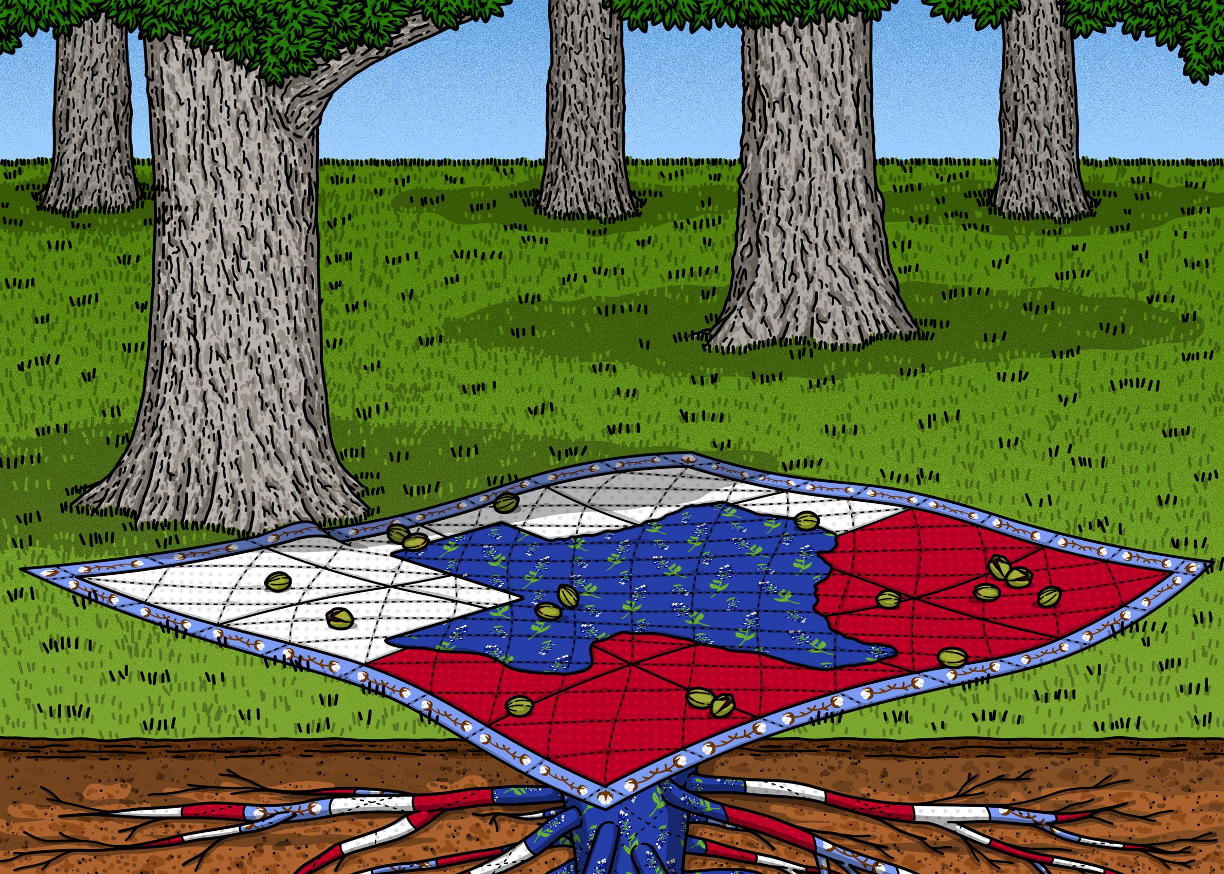 Illustration set in forest. A red while and blue quilt on the ground which shows the state of Texas and below it roots in red white and blue