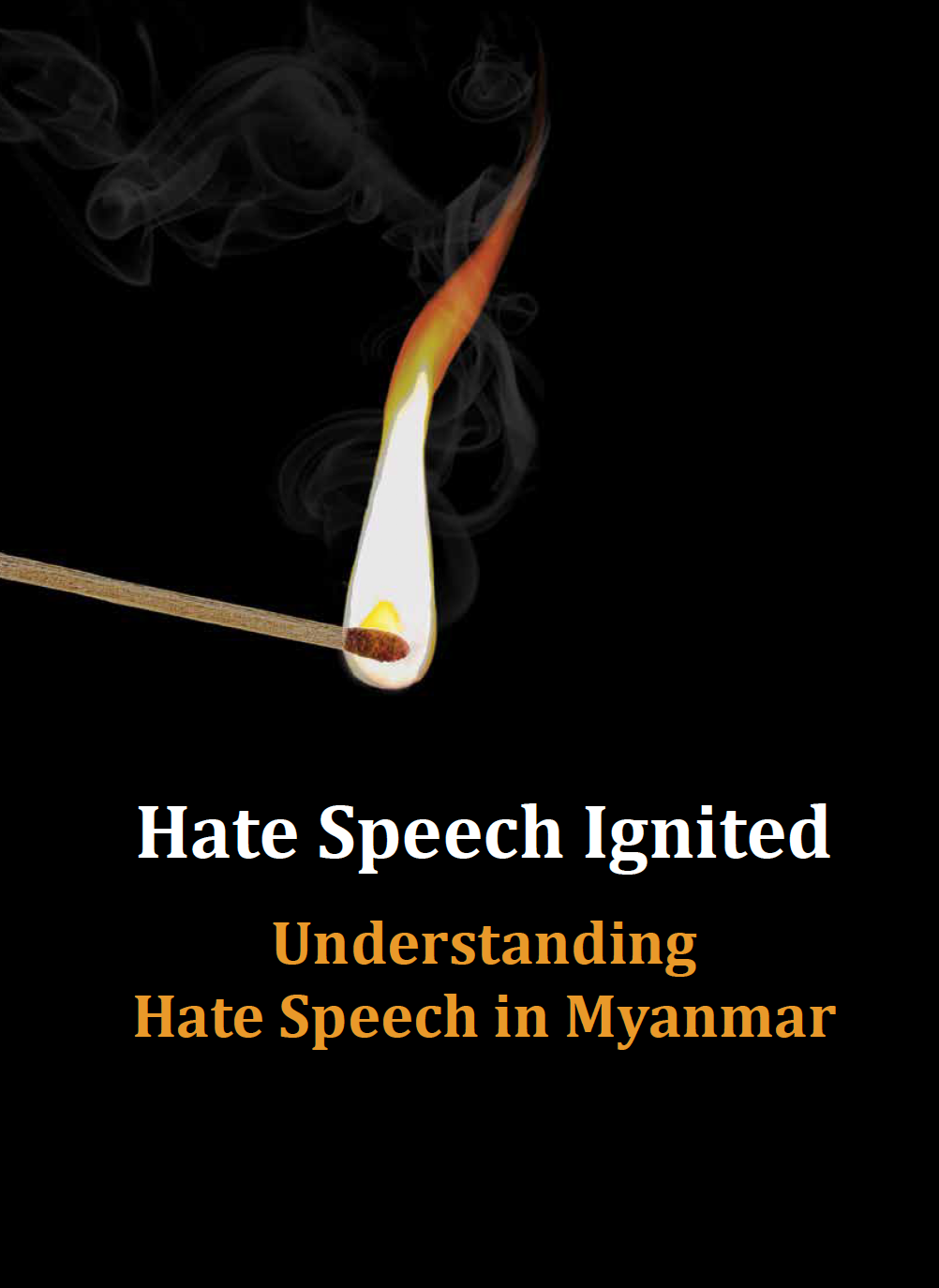 Hate Speech Ignited book cover