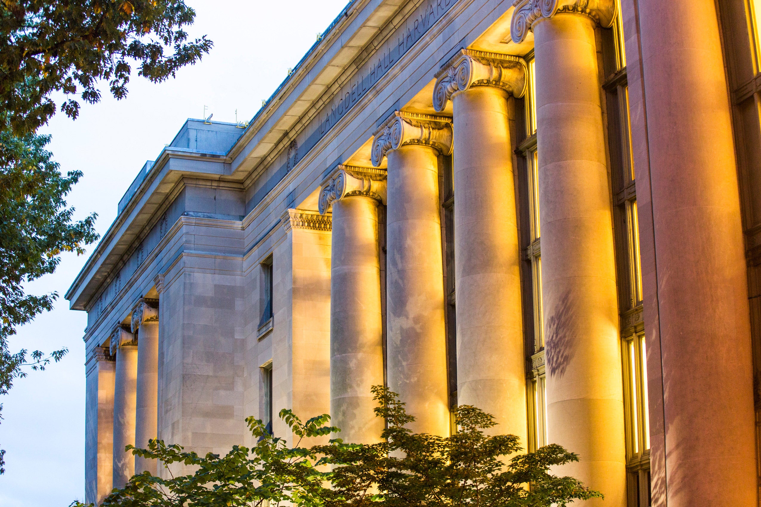 Harvard Law Clinic Files Amicus Brief Defending Employees Access To No Harvard Law Clinic Files Amicus Brief Defending Employees Access To No