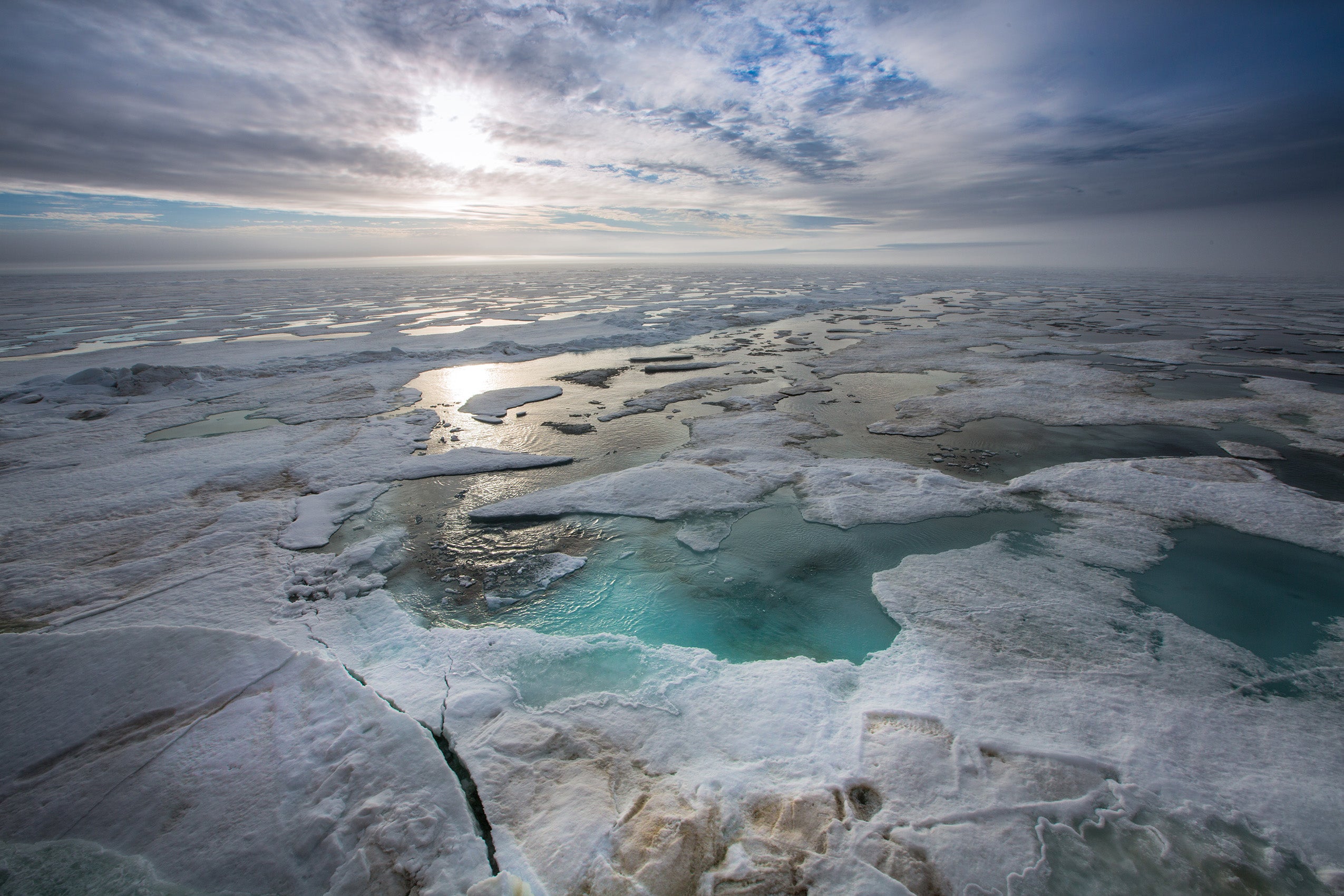Arctic ocean with floating ice