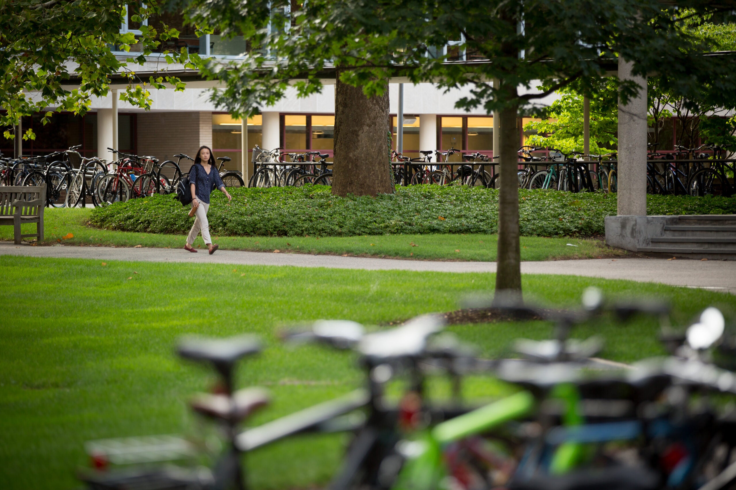 a row of bicycles against a campus backdrop