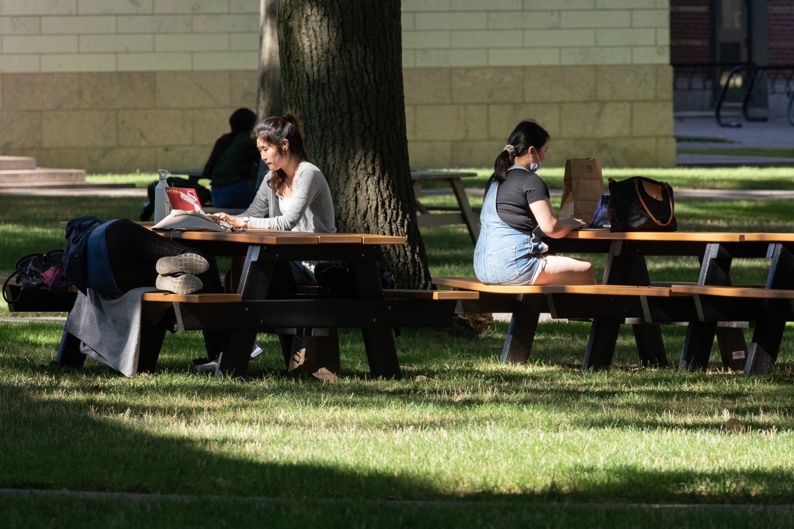 Students sitting at picnic tables on holmes field