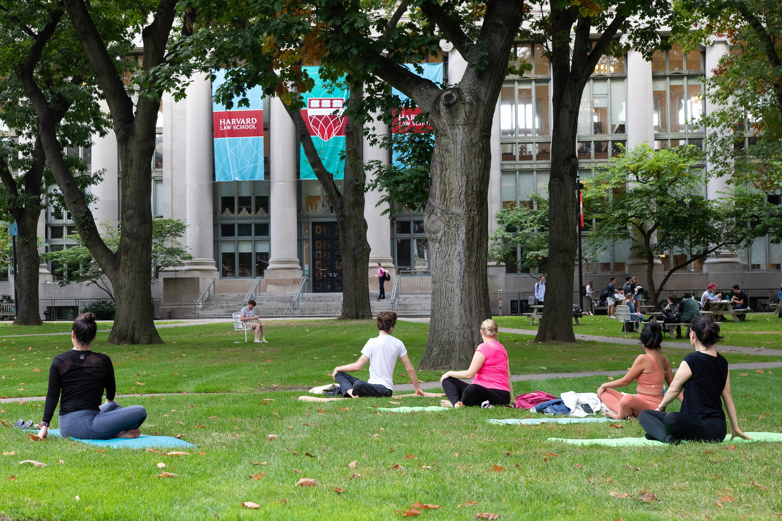 Student dong yoga on holmes field