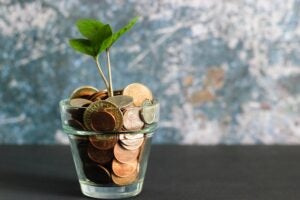 plant growing from a cup of pennies