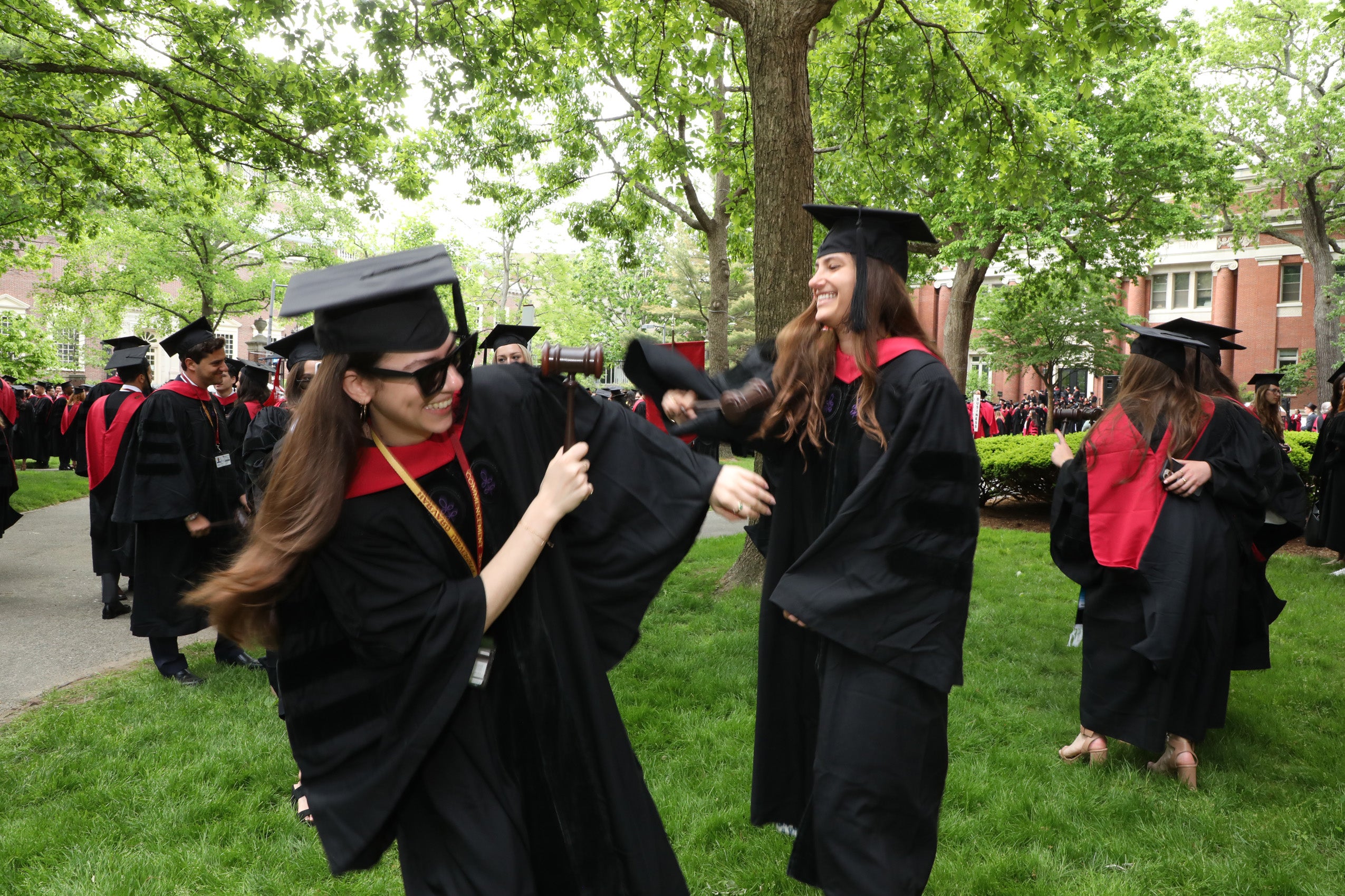 Two graduates in caps and gowns playfully hit each other with gavels in Harvard Yard