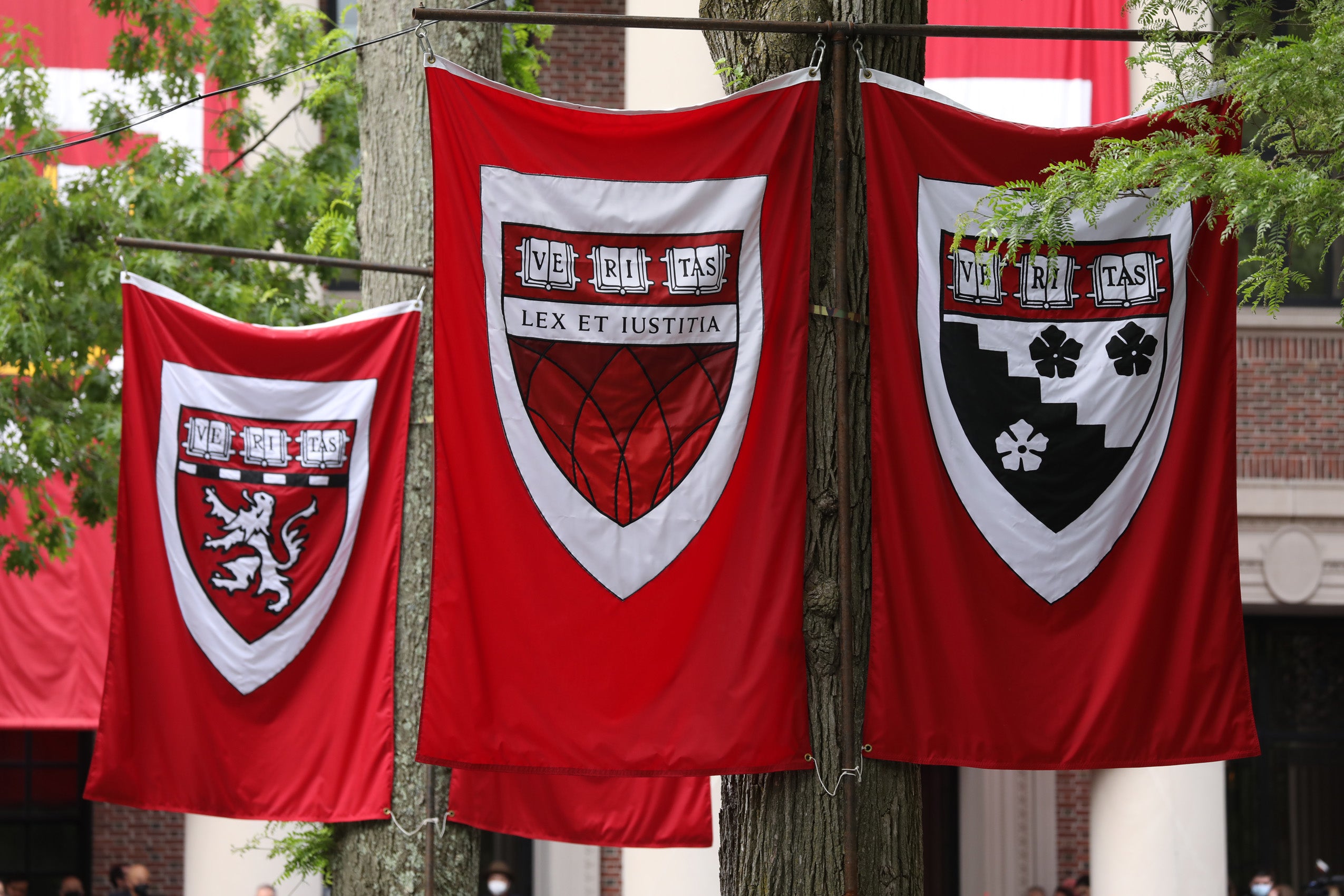 A banner with the Law School shield hangs among the shields of other schools in Harvard Yard