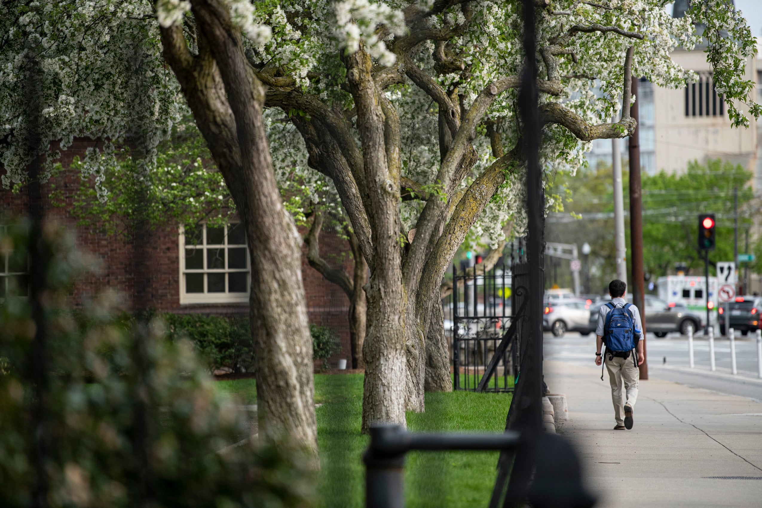 A male student wearing a blue backpack walks along the sidewalk next to a busy streett in front of a gate and building on HLS campuus