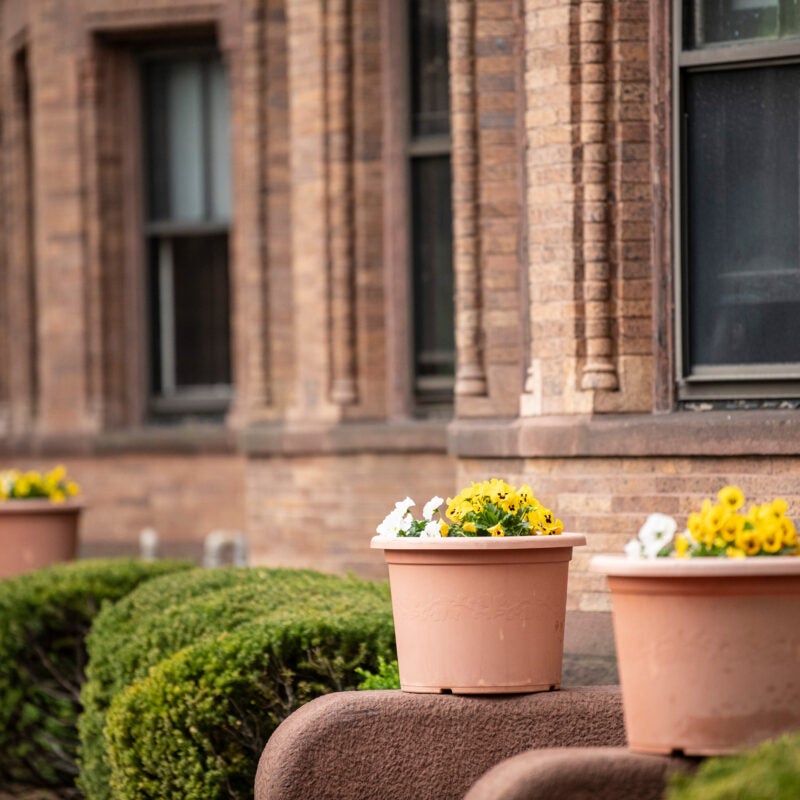 Housing Harvard Law School Harvard Law School