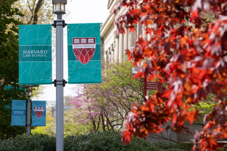HLS banners and a red maple tree in the foreground of photo of a large building with columns and pink, white and green blooming trees