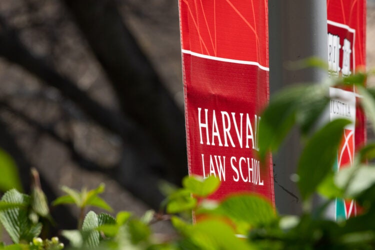 A red banner with the words Harvard Law School peaks out from behind a bush