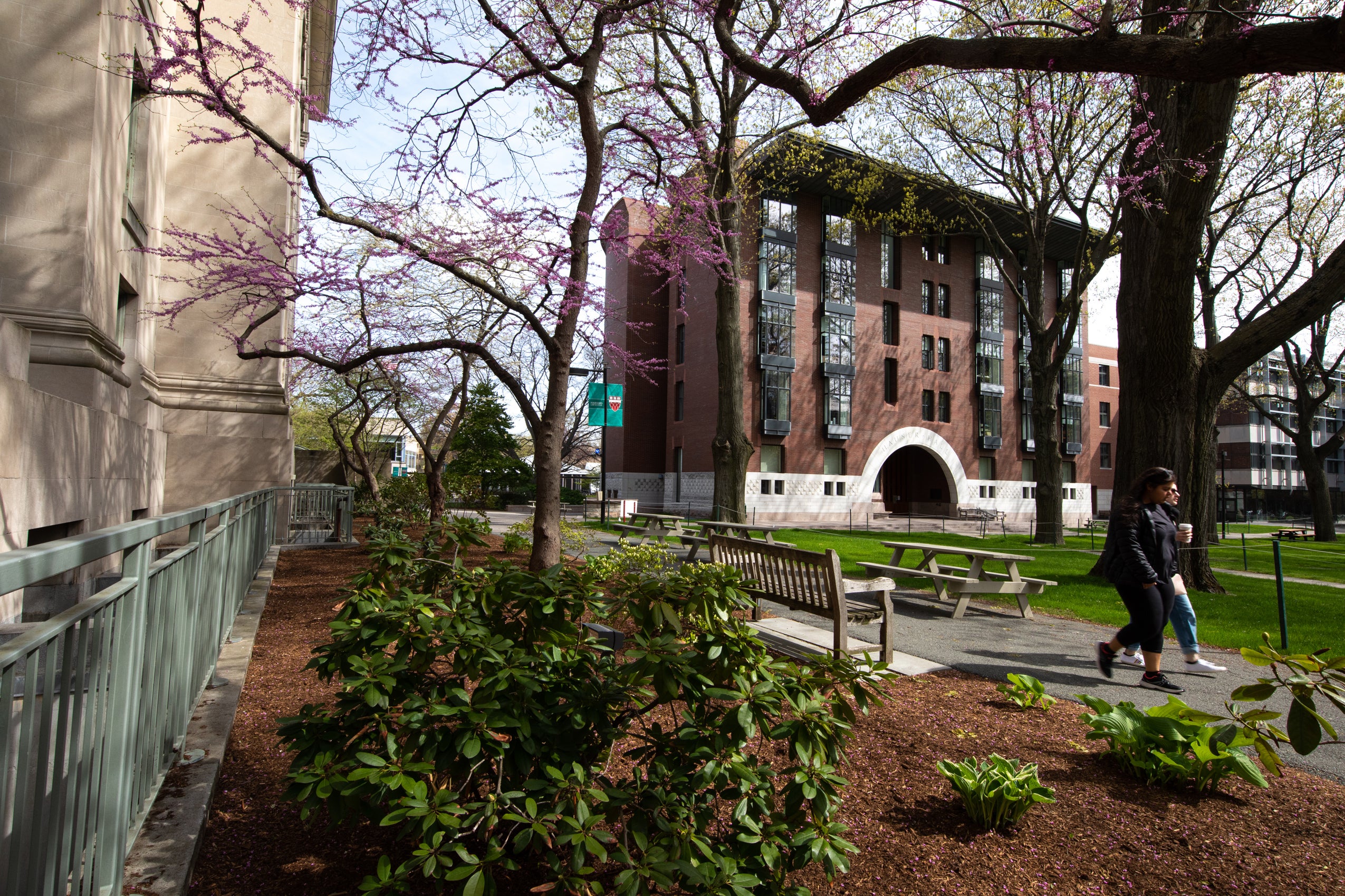 Two people walking in along a path on campus