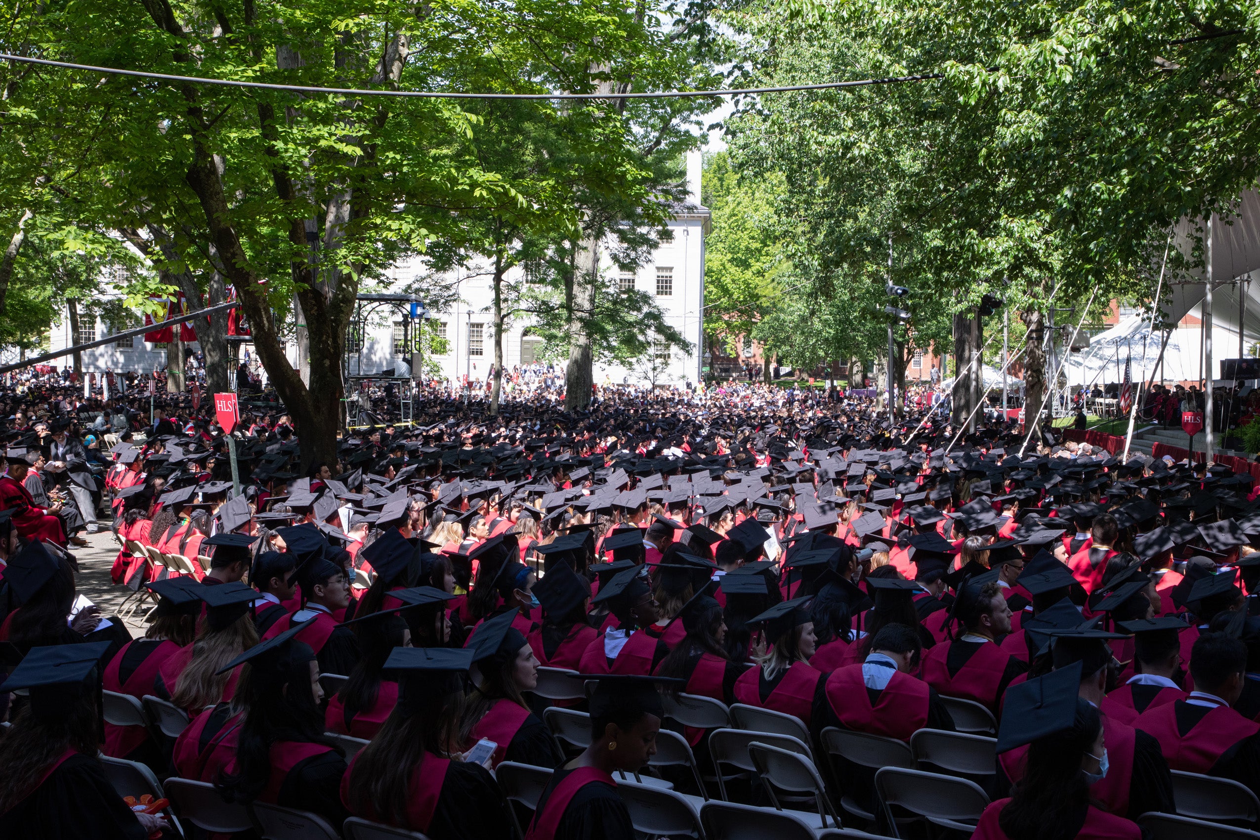 A sea of graduates in Harvard Yard. A red HLS sign is lit by sunlight.