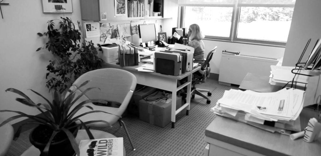 Wendy Jacobs: 1956-2021 - Harvard Law School