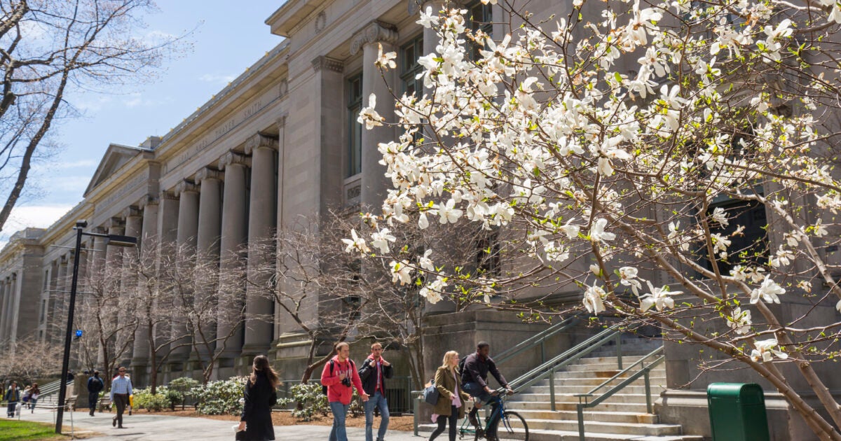 Gateway to PI Jobs Fellowships Harvard Law School Harvard Law School