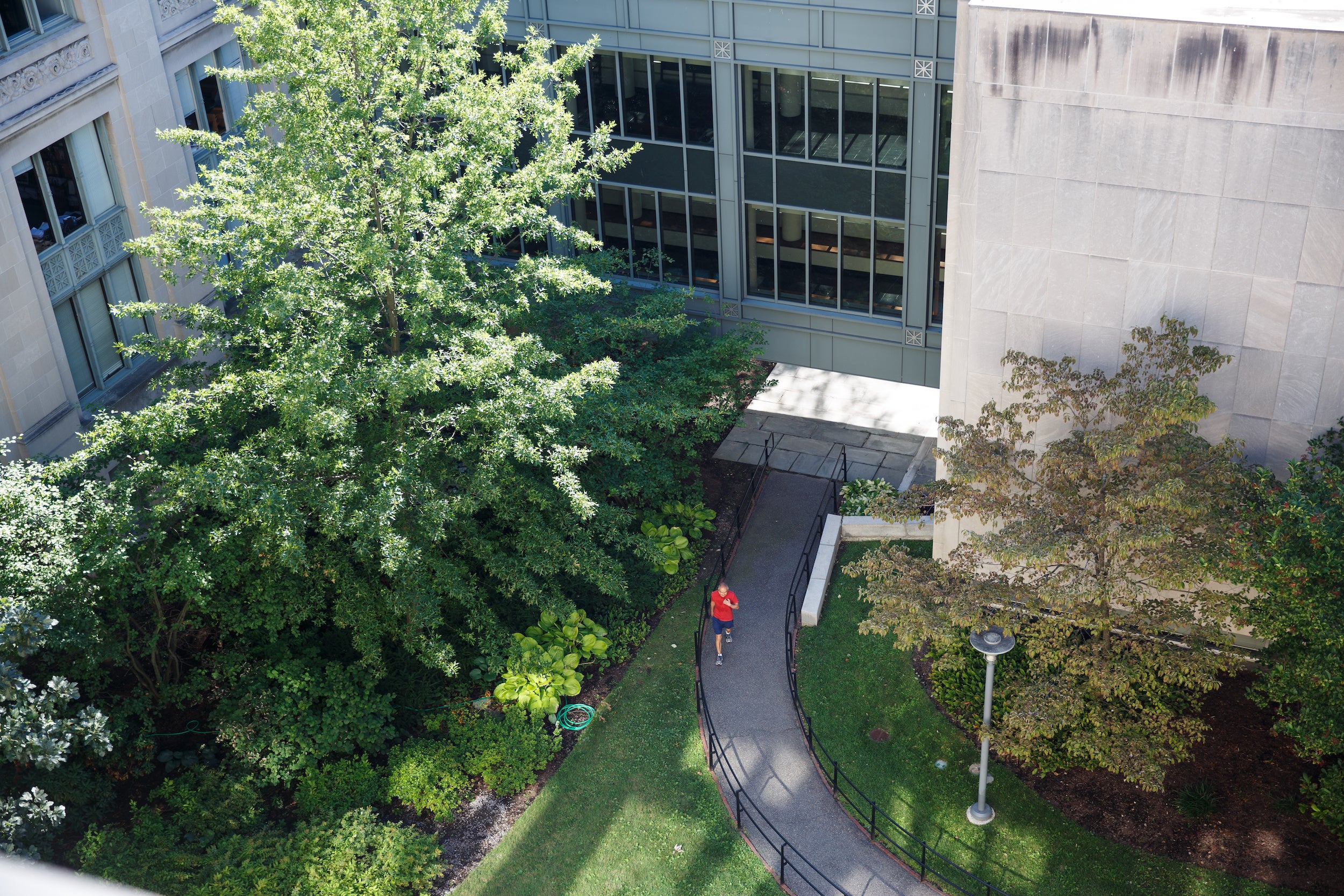 Areeda Hall from above