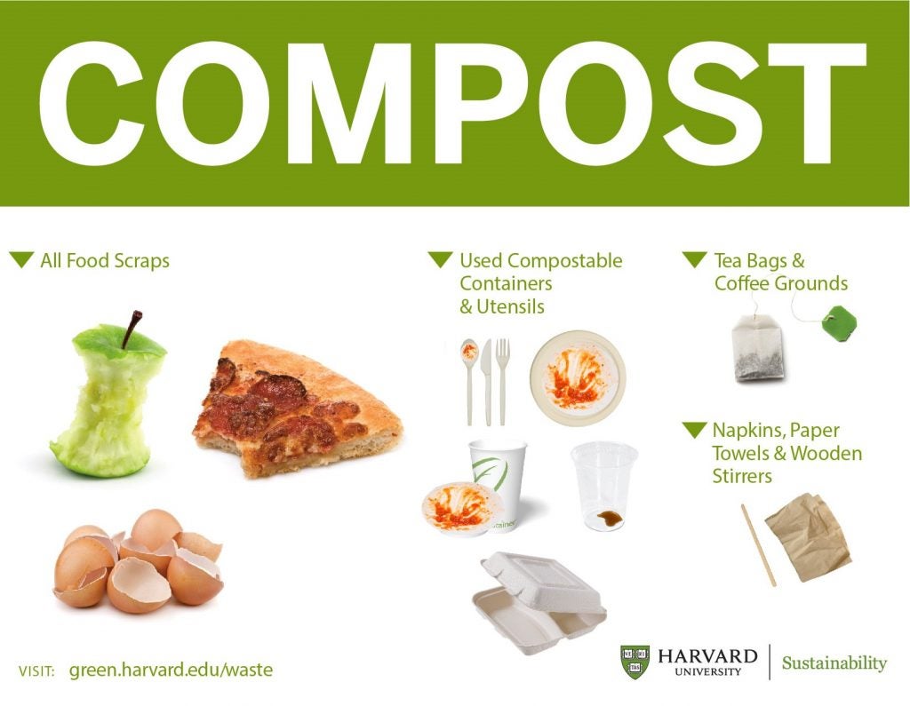 Composting Recycling Waste Reduction Harvard Law School Harvard