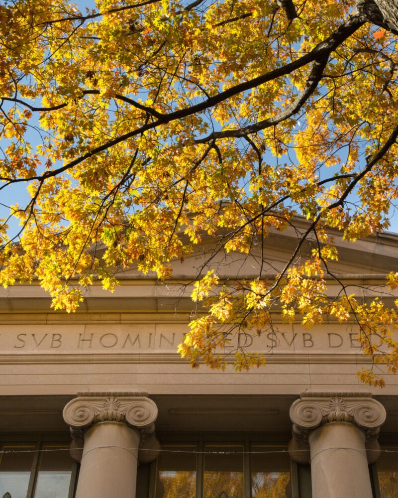 Detail of Langdell Hall in autumn