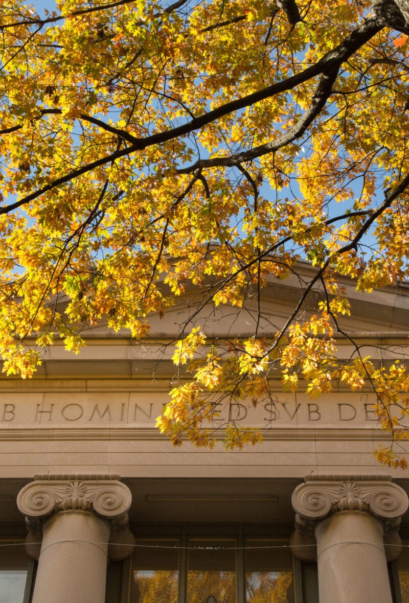 Detail of Langdell Hall in autumn