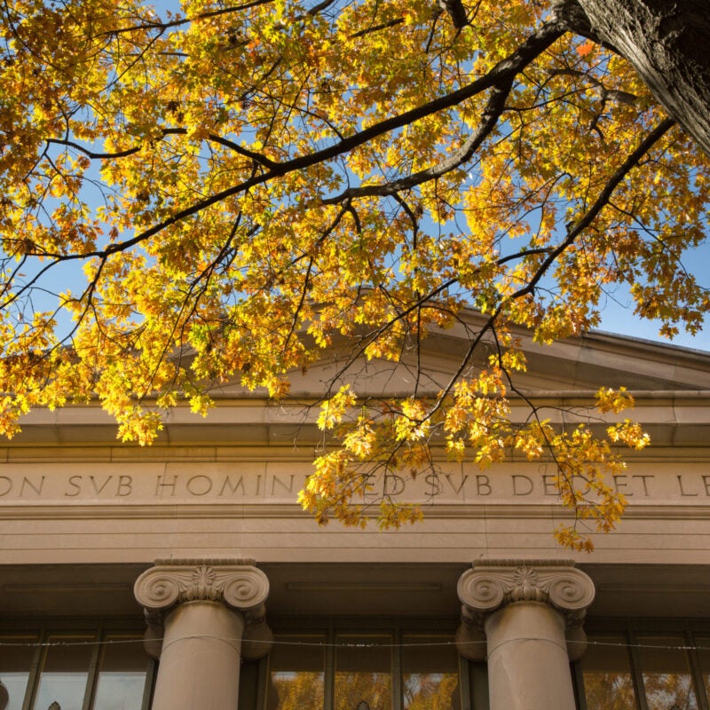 Detail of Langdell Hall in autumn