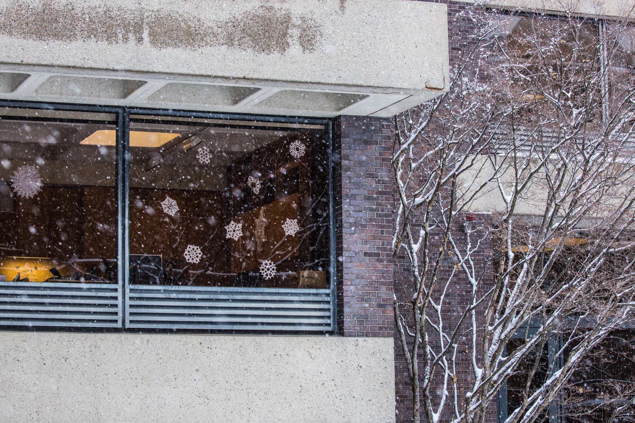 building in the snow