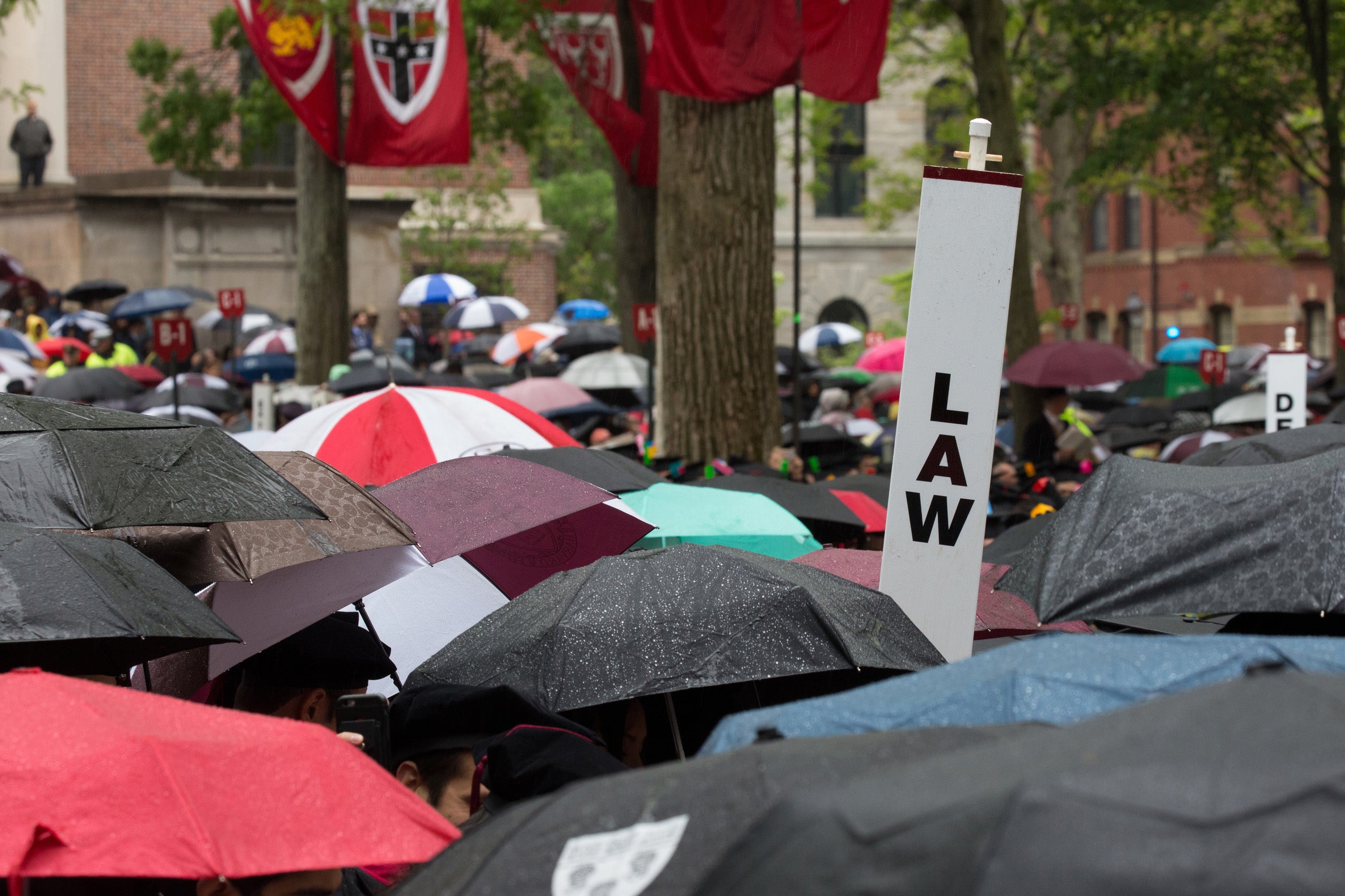 Umbrellas and 'law' sign at 2017 commencement