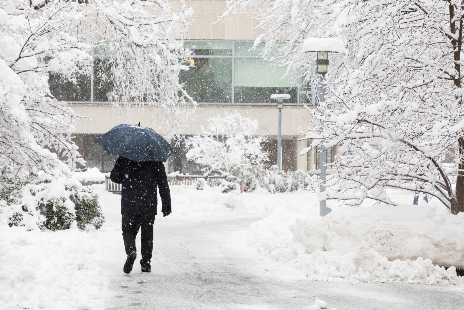 Man carrying an umbrella walking on campus in the snow