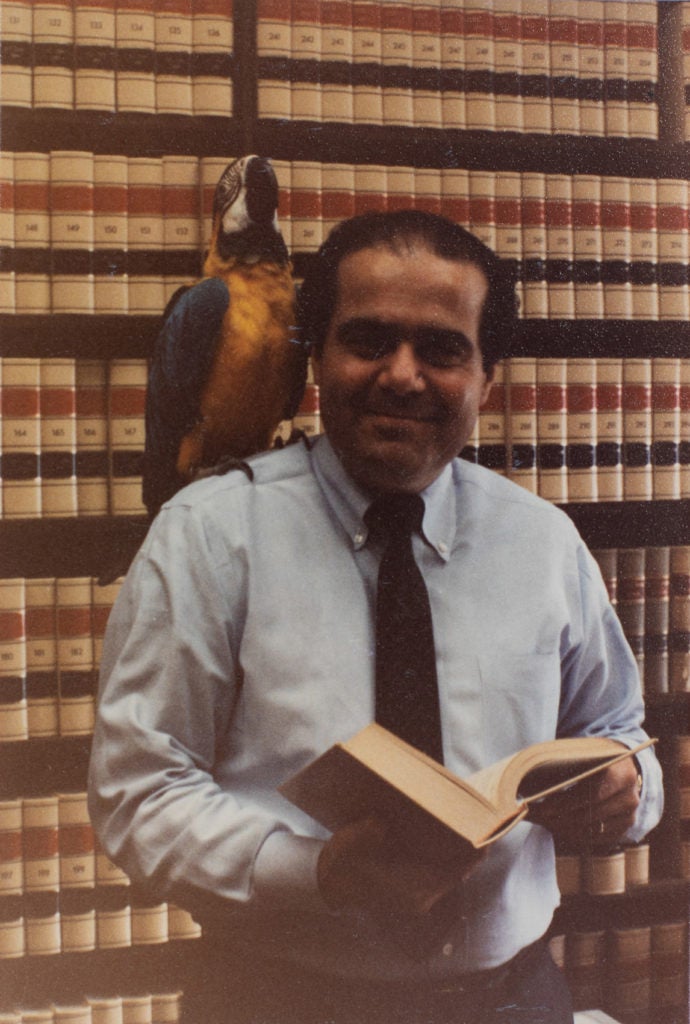 Antonin Scalia in his chambers holding a book with a parrot on his shoulder