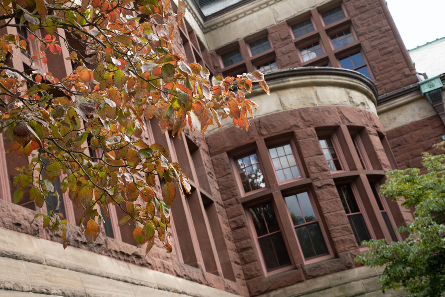 faculty of law harvard university