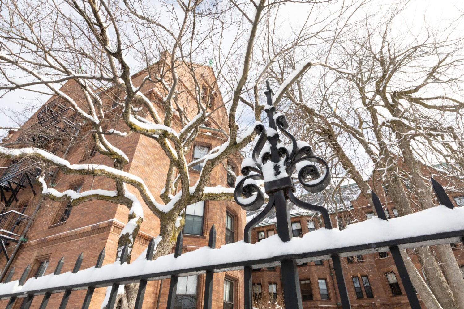 Fence with snow on it