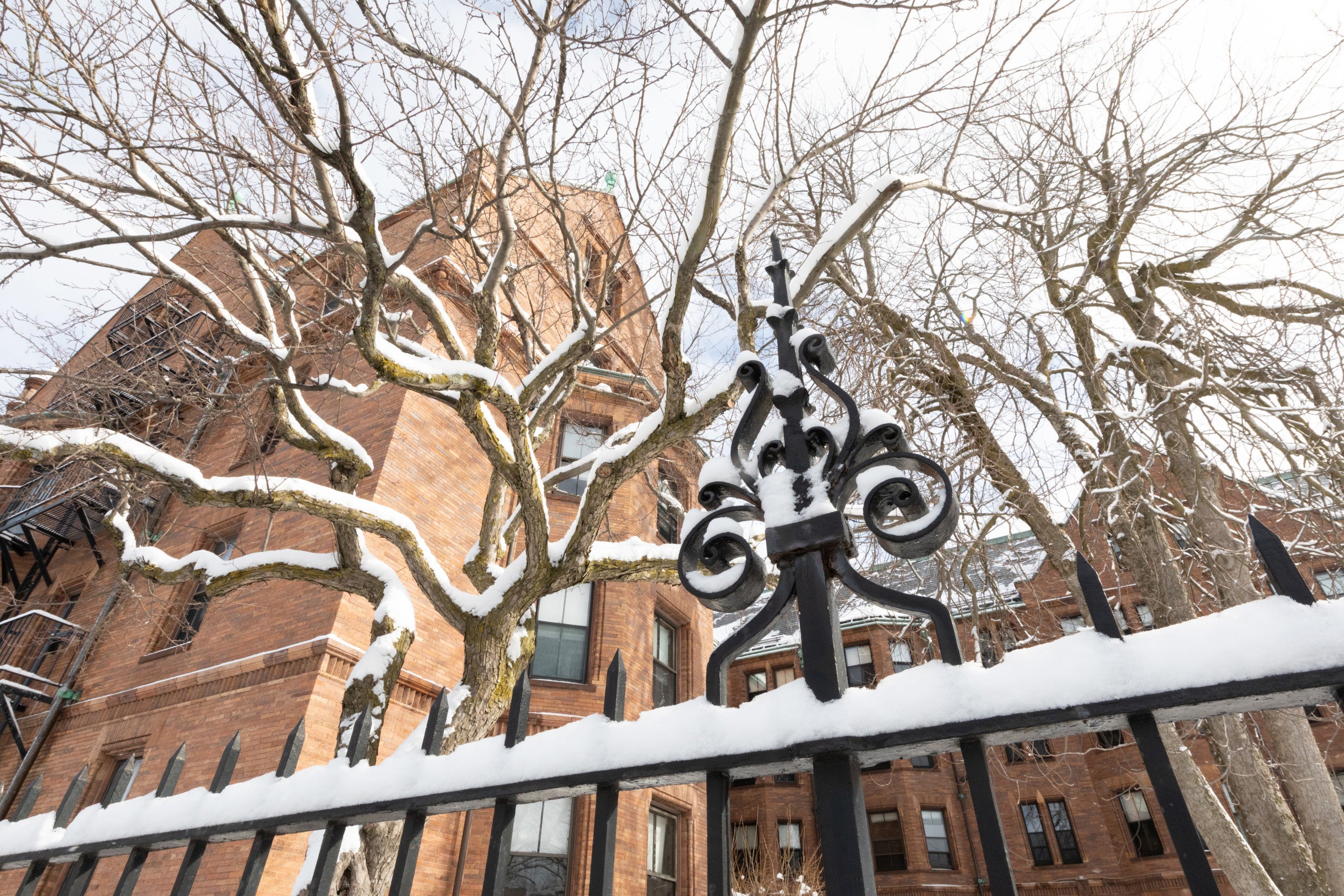 fence with snow on it