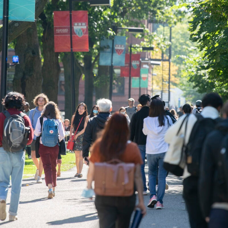 Students walking on the HLS campus with the Red and Green flagpole banners in the background