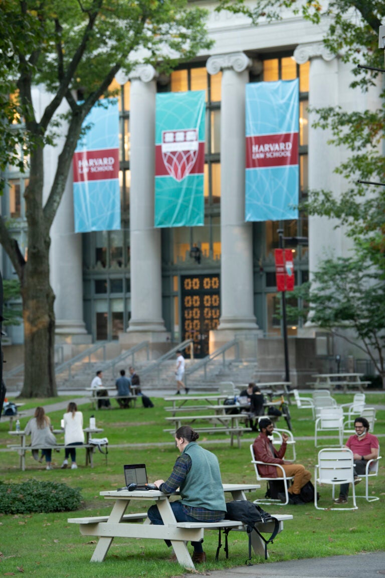 HLS 1L Profile And Facts - Harvard Law School | Harvard Law School