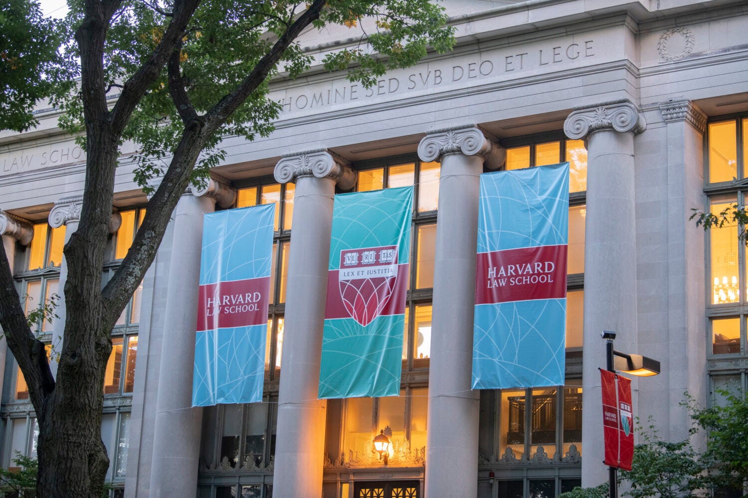 harvard law library