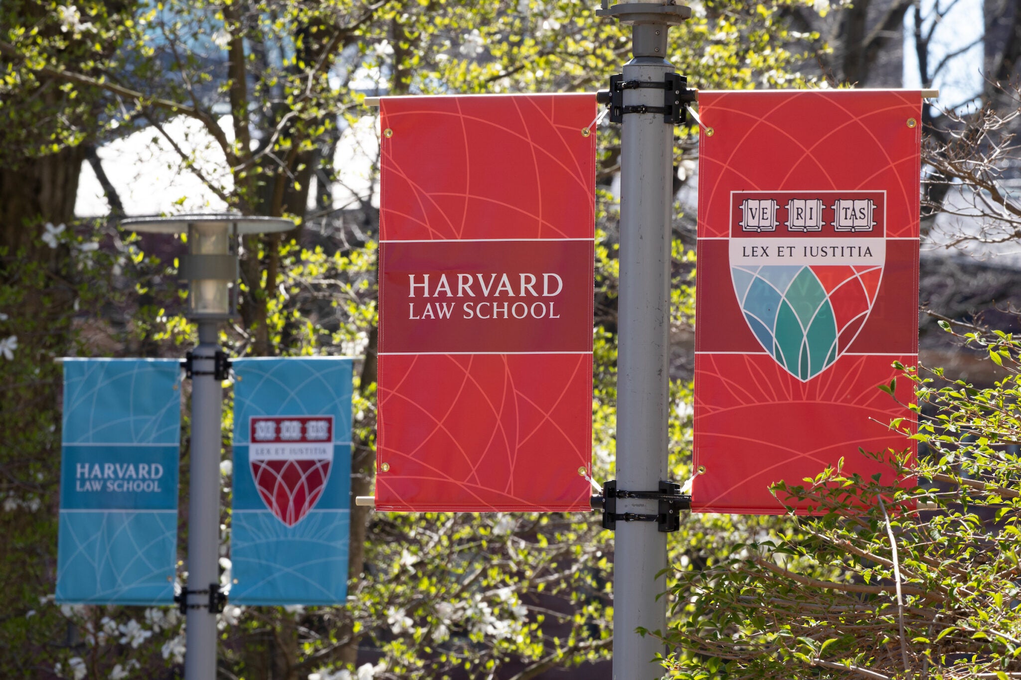 Named Scholarships At Harvard Law School Harvard Law School Harvard   2022 04 18 Spring At HLS MStewart 071 2048x1365 