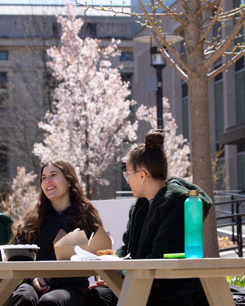 harvard accounting phd students