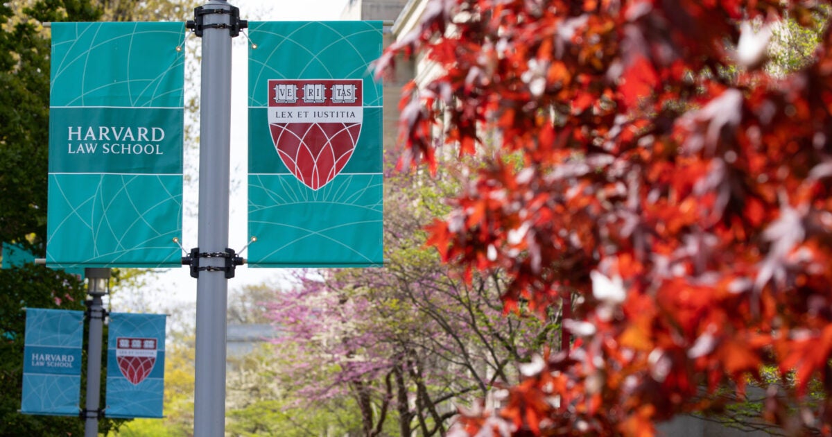 JDP Cohort Harvard Law School Harvard Law School