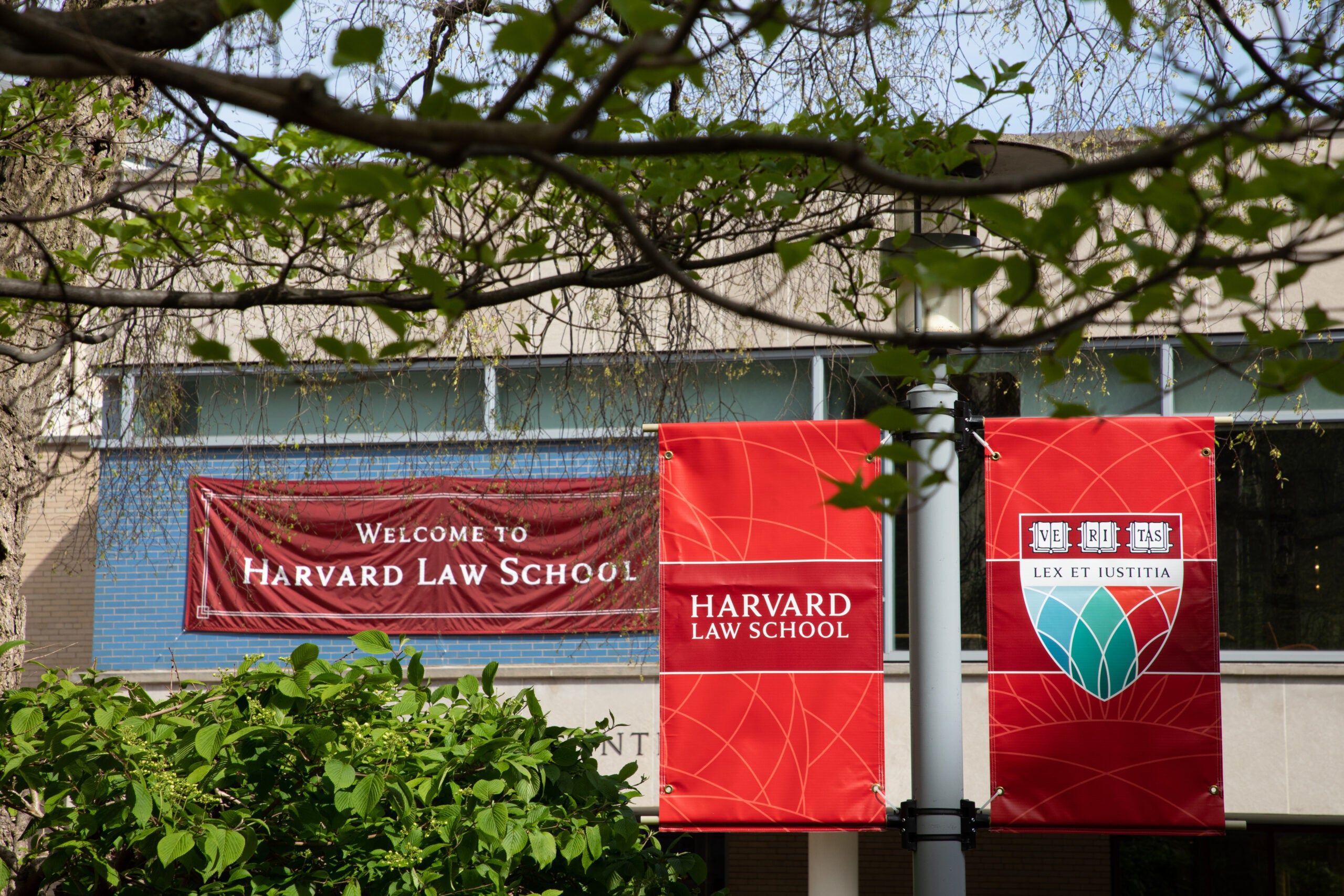 Harvard Law School Campus Map   2022 05 08 SpringTwo MStewart 047 Scaled 