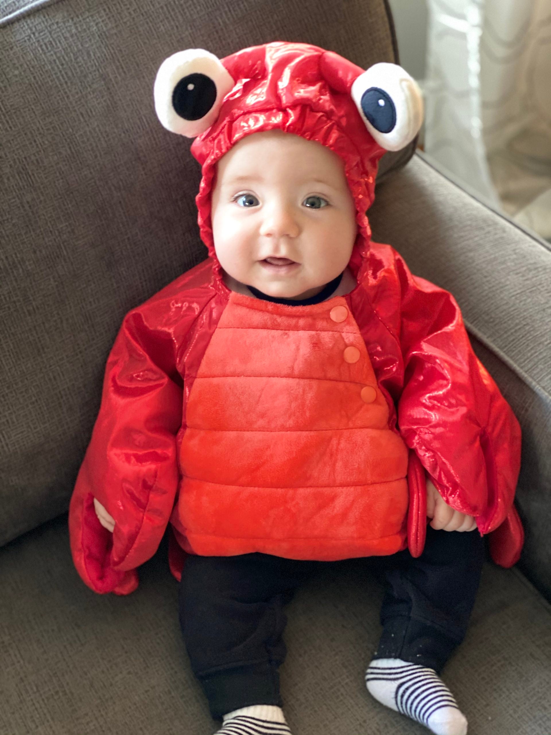 Baby dressed in a lobster costume, looking at camera.