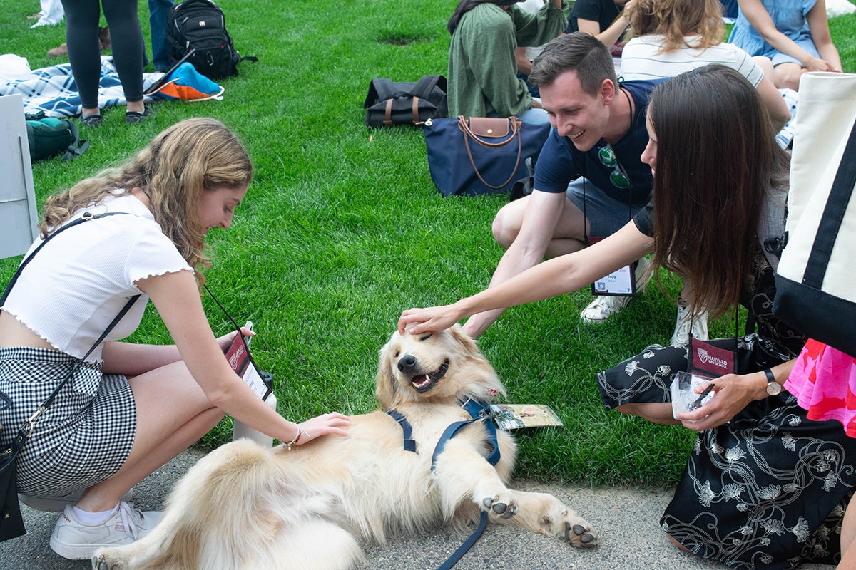 Students petting a dog outside